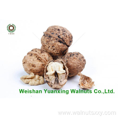 Walnut Kernels Light Pieces(LP) from Yunnan